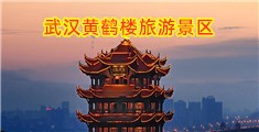 操小骚逼赶快出来高清不卡