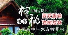 日日插女人逼网