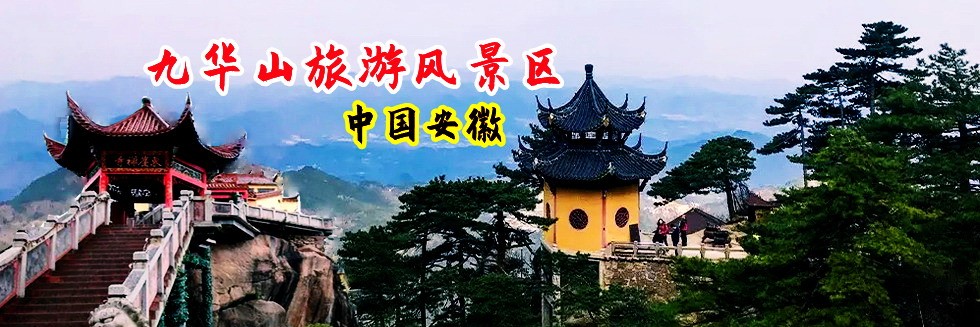美女插B影院