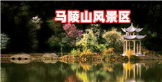 免费草逼